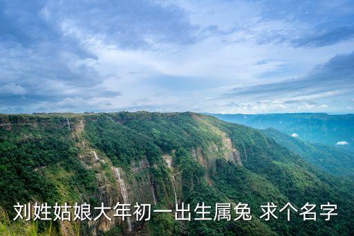 劉冬青，2009年陰歷12月14晚9點(diǎn)30分出生的男孩爸爸史浩屬龍媽媽劉冬青