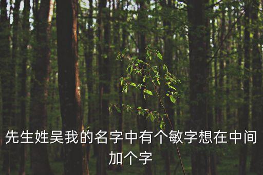 先生姓吳我的名字中有個(gè)敏字想在中間加個(gè)字