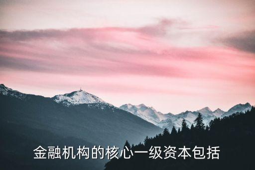 金融機(jī)構(gòu)的核心一級(jí)資本包括