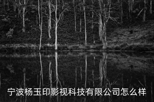 寧波楊玉印影視科技有限公司怎么樣