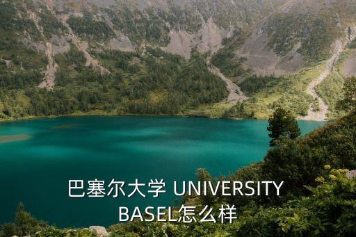 巴塞爾大學，巴塞爾大學的主要特色