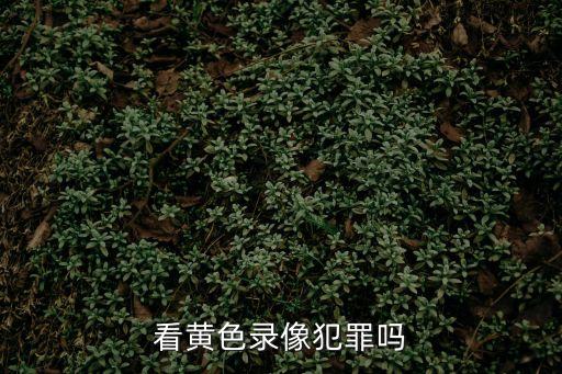 特級黃色錄像片，中國電影特級黃色是真人拍出來的嗎