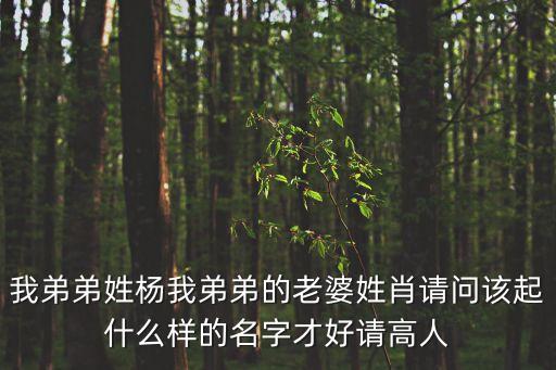 楊安明，我弟弟姓楊我弟弟的老婆姓肖請問該起什么樣的名字才好請高人