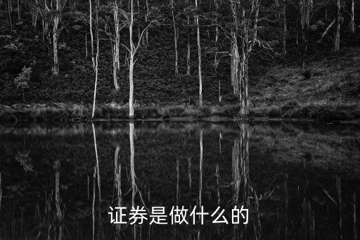 證券是做什么的，證券是做什么的