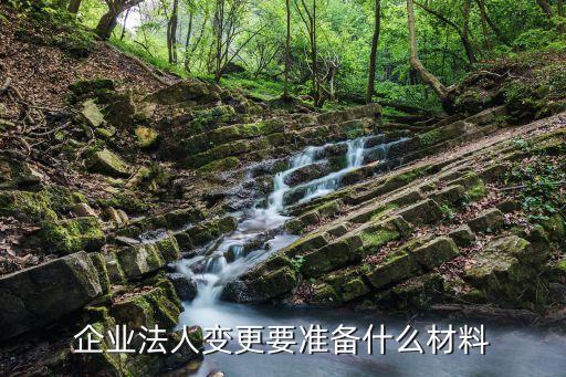 變更營業(yè)執(zhí)照法人需要什么資料，變更公司法人需要哪些資料