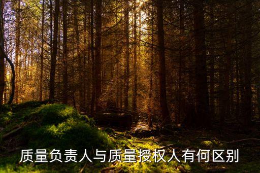 質(zhì)量負(fù)責(zé)人，項(xiàng)目質(zhì)量負(fù)責(zé)人是寫(xiě)項(xiàng)目經(jīng)理還質(zhì)量員呢