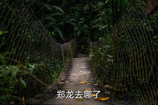 鄭龍，鄭龍去哪了
