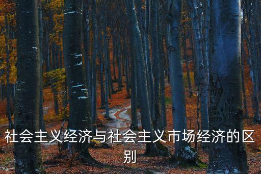 社會主義經(jīng)濟(jì)與社會主義市場經(jīng)濟(jì)的區(qū)別