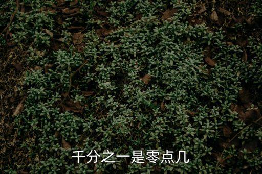 千分之一是零點幾