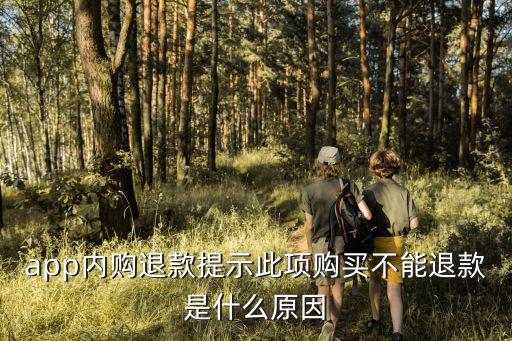 app內(nèi)購(gòu)?fù)丝钐崾敬隧?xiàng)購(gòu)買不能退款是什么原因