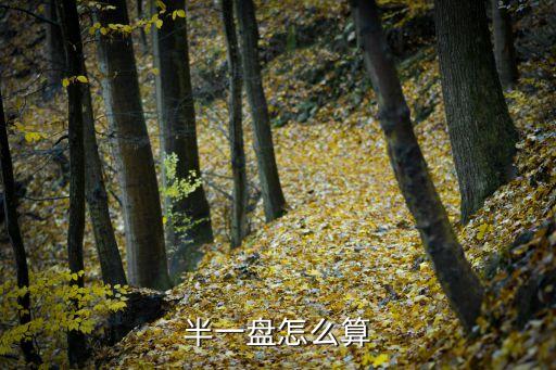 半一盤，半一盤是怎么分析的