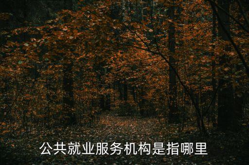 公共就業(yè)服務(wù)，公共就業(yè)服務(wù)機構(gòu)是指哪里