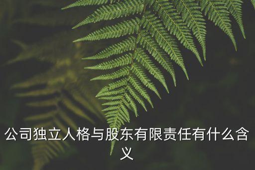 公司獨(dú)立人格與股東有限責(zé)任有什么含義