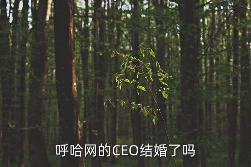 連庭凱，呼哈網(wǎng)的CEO結(jié)婚了嗎