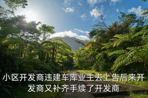 小區(qū)開發(fā)商違建車庫業(yè)主去上告后來開發(fā)商又補(bǔ)齊手續(xù)了開發(fā)商