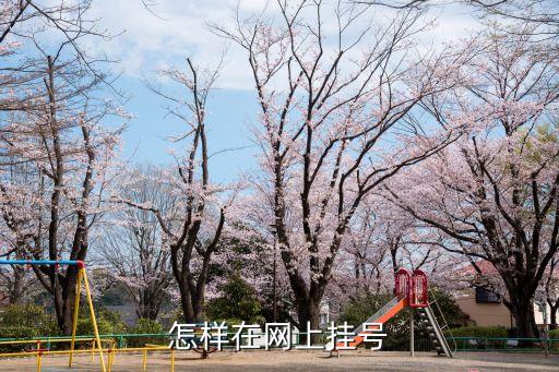 如何網(wǎng)上掛號預(yù)約，怎樣在網(wǎng)上掛號