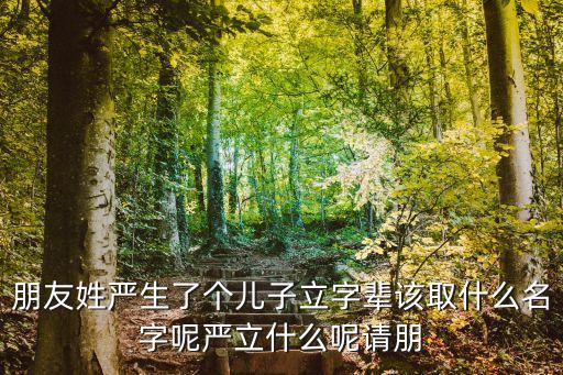 嚴(yán)立新，朋友姓嚴(yán)生了個兒子立字輩該取什么名字呢嚴(yán)立什么呢請朋