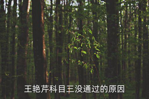 王艷芹科目三沒通過的原因