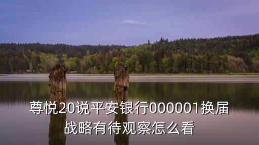 尊悅20說平安銀行000001換屆戰(zhàn)略有待觀察怎么看