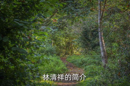 林清祥，林清祥的簡(jiǎn)介