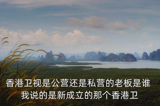 高洪星，香港衛(wèi)視是公營還是私營的老板是誰 我說的是新成立的那個香港衛(wèi)