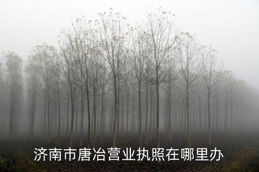 濟(jì)南市工商局，濟(jì)南市工商局局長有幾個(gè)