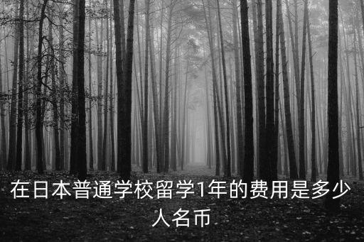 在日本普通學(xué)校留學(xué)1年的費用是多少人名幣