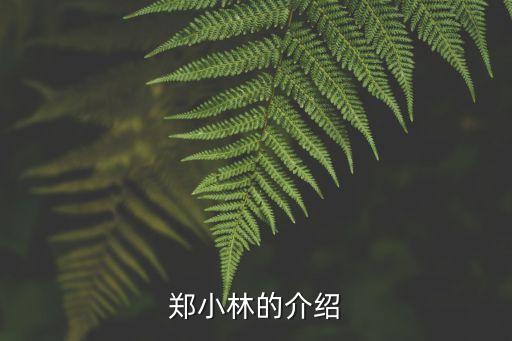 鄭小林，鄭小林的介紹