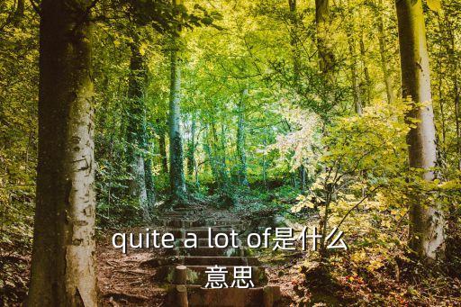 quite a lot of是什么意思