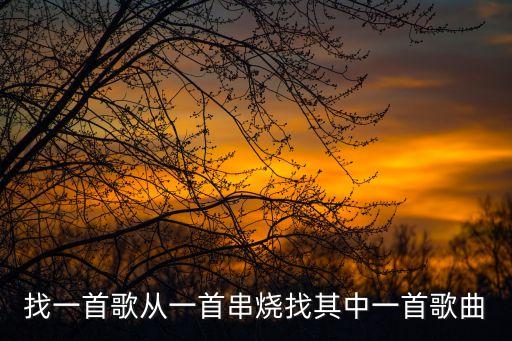 王洪九，找一首歌從一首串燒找其中一首歌曲