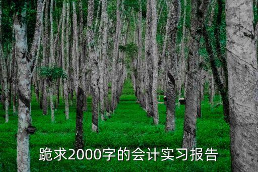 會(huì)計(jì)專(zhuān)業(yè)實(shí)習(xí)報(bào)告，跪求2000字的會(huì)計(jì)實(shí)習(xí)報(bào)告