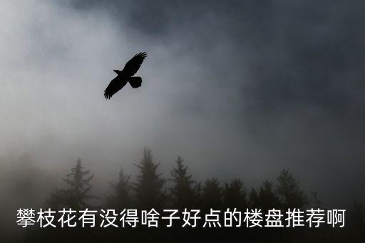 攀枝花有沒(méi)得啥子好點(diǎn)的樓盤(pán)推薦啊