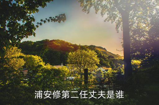 浦安修第二任丈夫，浦安修第二任丈夫是誰