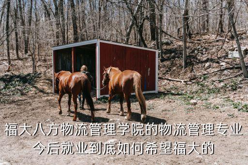 廉小強(qiáng)，福大八方物流管理學(xué)院的物流管理專業(yè)今后就業(yè)到底如何希望福大的