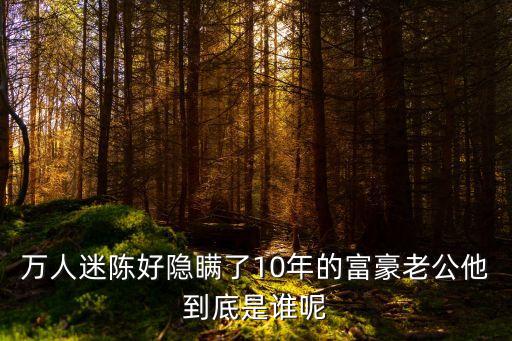 陳豪，陳豪有沒有追過黎姿