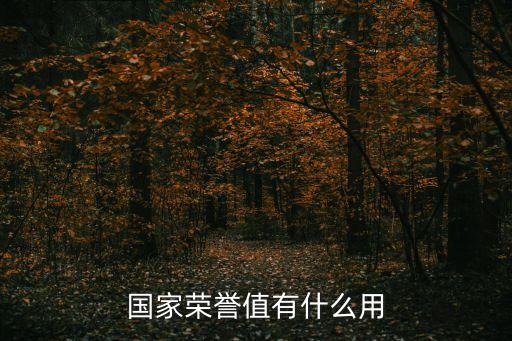 國(guó)家勛章，國(guó)家榮譽(yù)值有什么用