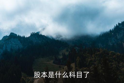 股本屬于什么科目，股本是什么科目了