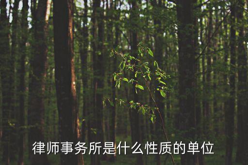 律師事務(wù)所是什么性質(zhì)的單位