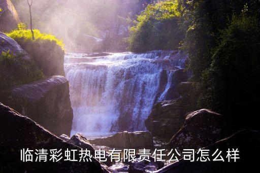 臨清彩虹熱電有限責(zé)任公司怎么樣