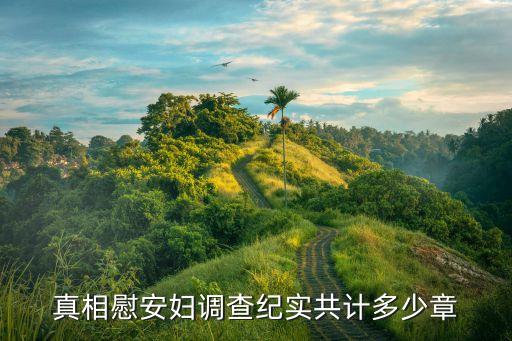 真相慰安婦調(diào)查紀實共計多少章
