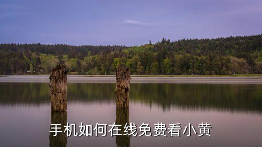 手機(jī)黃色在線觀看，手機(jī)如何在線免費(fèi)看小黃