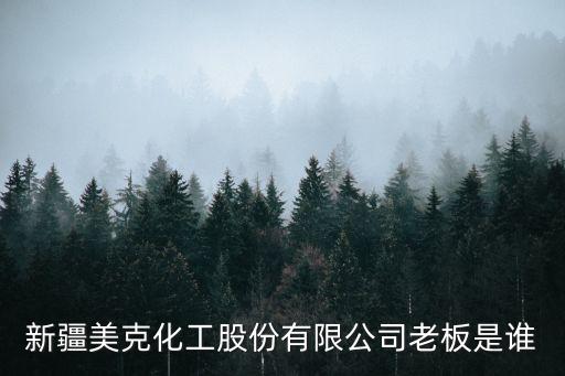 新疆美克化工股份有限公司老板是誰