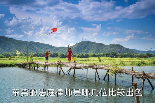 東莞的法庭律師是哪幾位比較出色