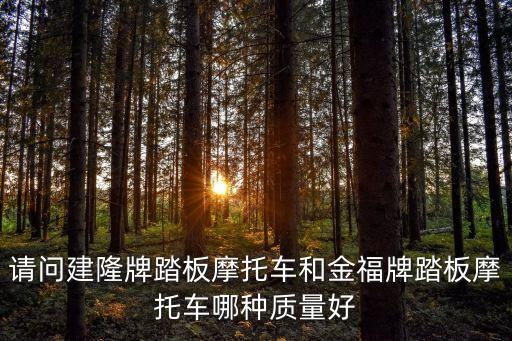 和金福，天下第一福和金福哪個更適合掛在客廳