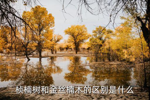 楨楠樹，楨楠樹和金絲楠木的區(qū)別是什么