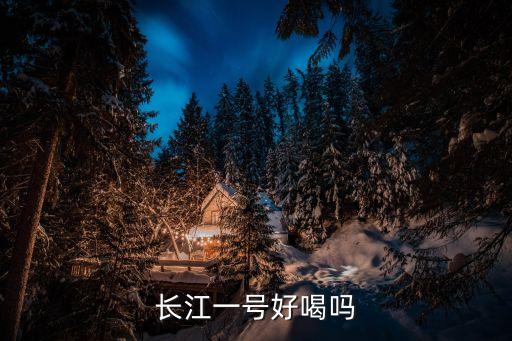 長江一號好喝嗎