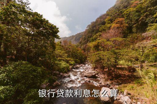 貸款銀行利息多少，請問貸款的利息一般是多大