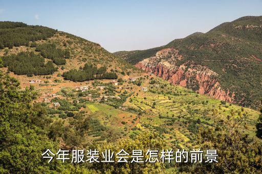 楊曉京，今年服裝業(yè)會(huì)是怎樣的前景