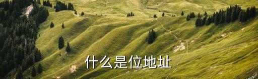 位地，什么是位地址