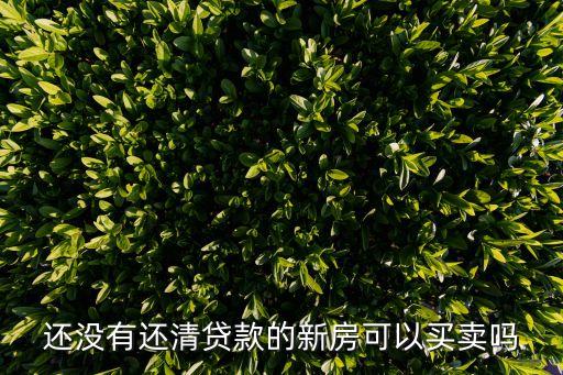 沒還完貸款的房子能賣嗎，還沒有還清貸款的新房可以買賣嗎